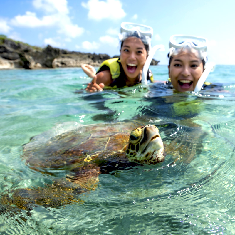 宮古島でのウミガメシュノーケリングをオンラインツアーで体験