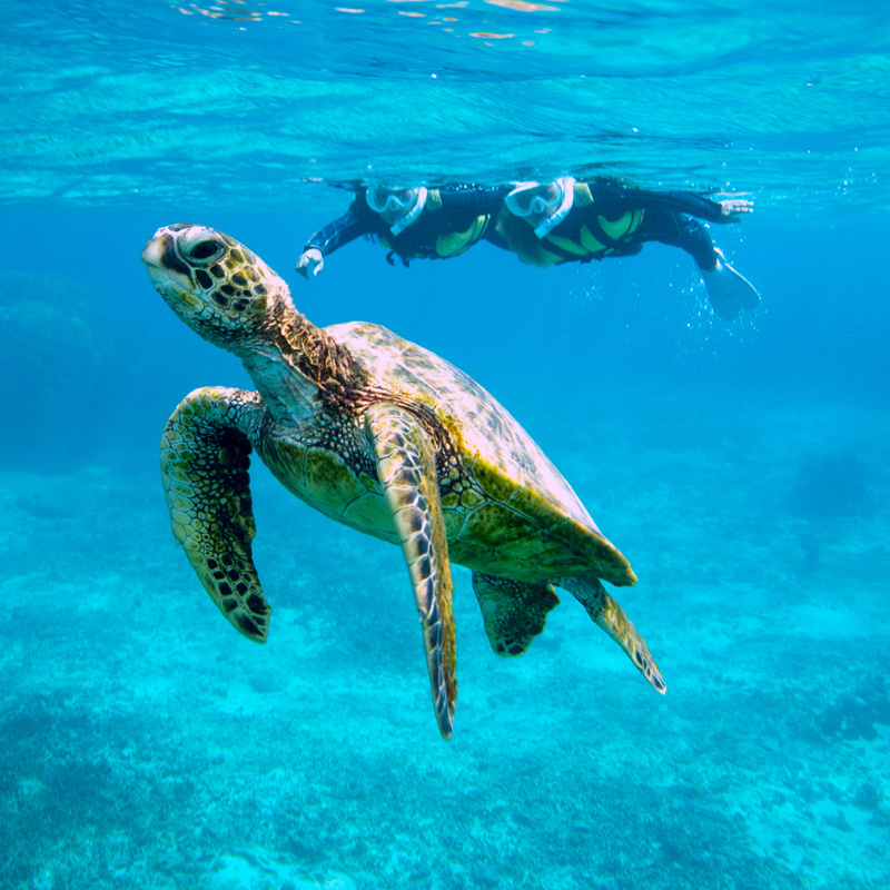 宮古島の絶景をオンラインで満喫
