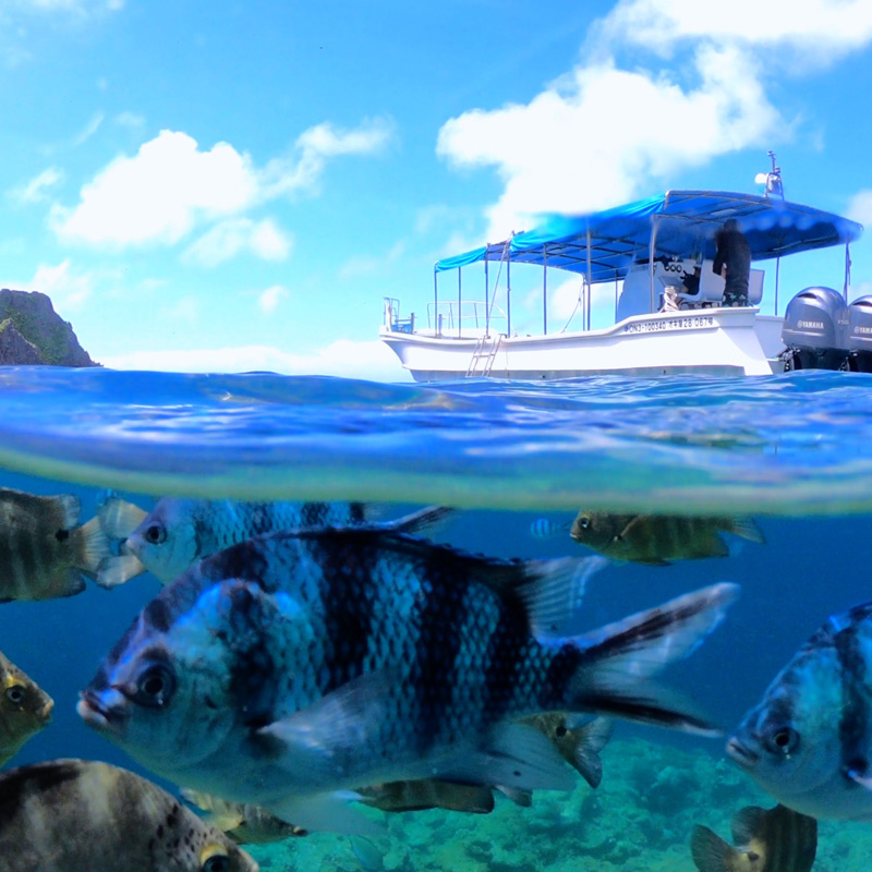 青の洞窟シュノーケリングオンラインツアー